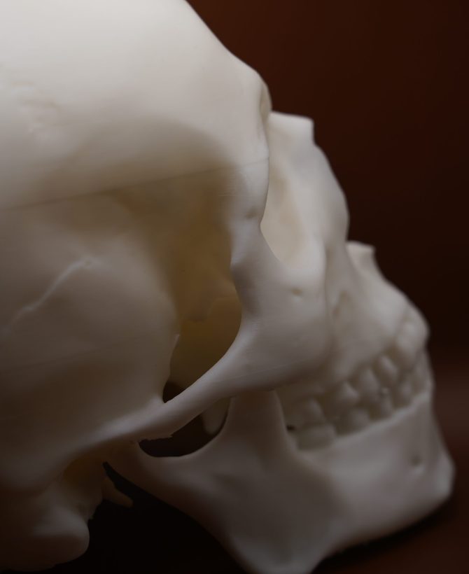 Анатомічна модель черепа