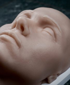 Модель голови з шиєю